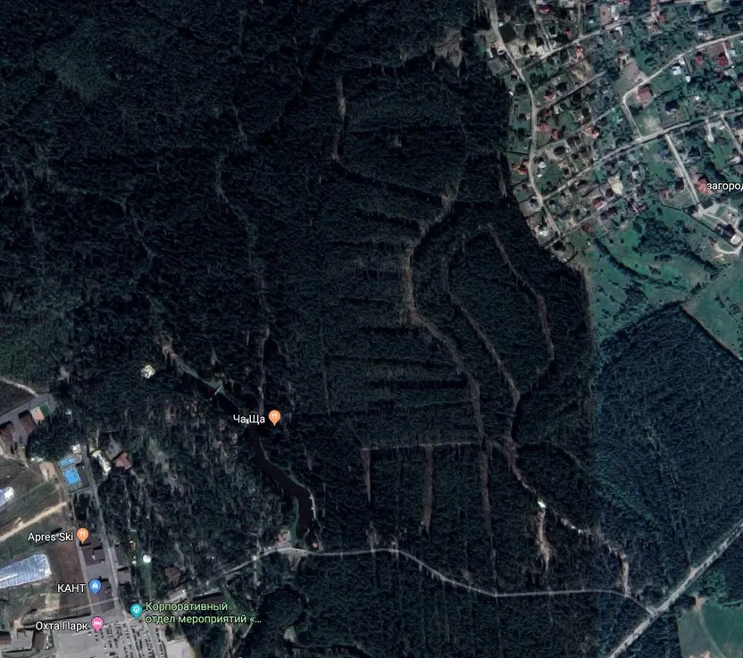 Лесной массив, «размеченный» под строительство коттеджного поселка / Фото: Google Maps