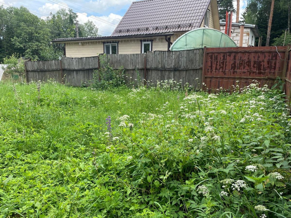 Садоводам «включили счетчик», но продлили амнистию. Новые правила обязывают  дачников ликвидировать вьюнки и одуванчики, освоить земли и зарегистрировать  сараи — Новая газета