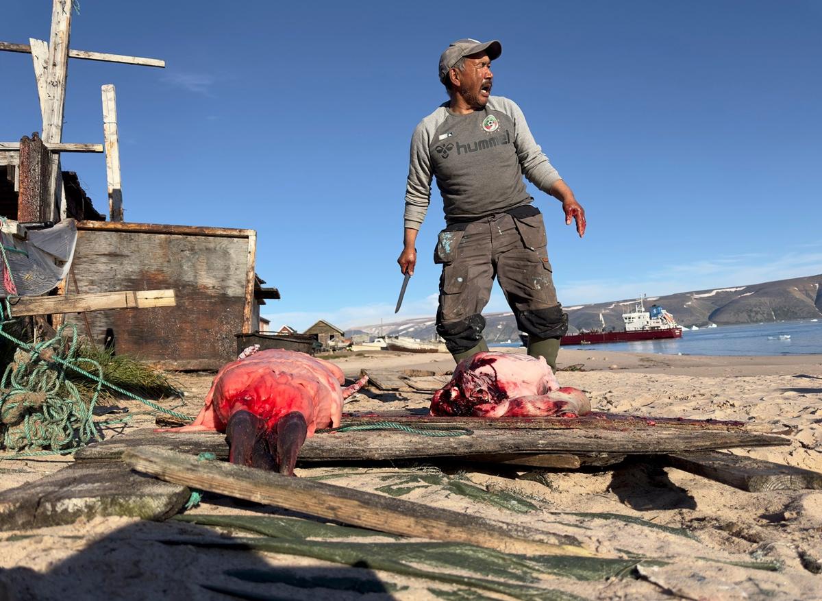 Охотник на белого медведя Питер из Сиорапалука рассказывает про заячьи ловушки, которым четыре тысячи лет. Фото: Галя Моррелл
