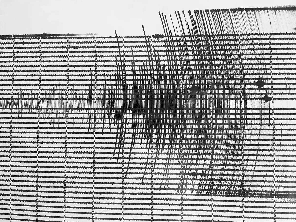 Сейсмограмма землетрясения. Фото: википедия