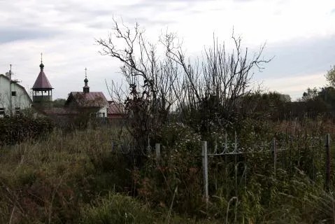 Захоронения расстрелянных на Волынском кладбище. Фото: mapofmemory