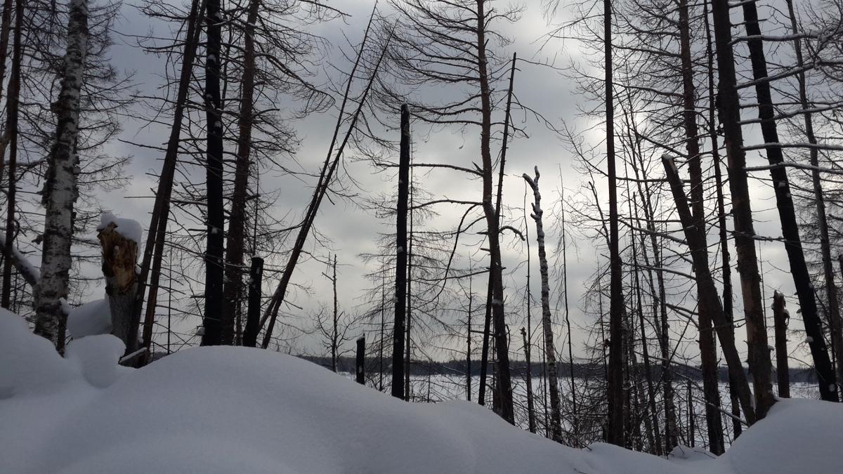 Ангаро-Енисейские пейзажи. Фото: Алексей Тарасов / «Новая газета»