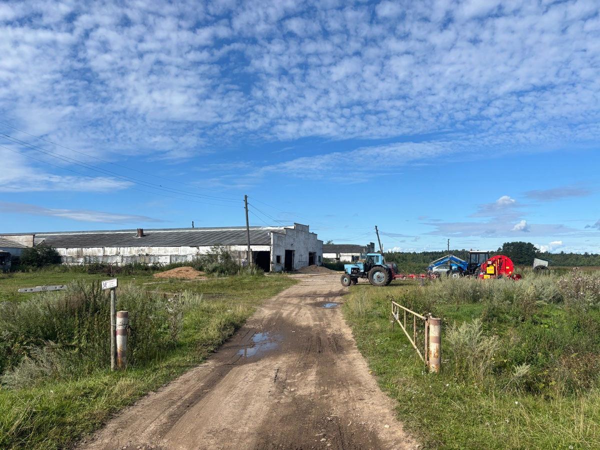 Ферма недалеко от места падения самолета. Фото: Иван Жилин / «Новая газета»