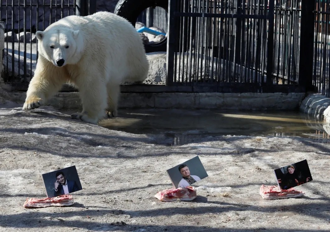 Перфоманс в российском зоопарке накануне украинских выборов. Фото: Reuters