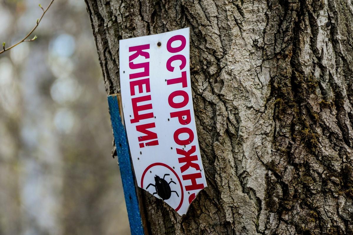 Фото: URA.RU / TASS