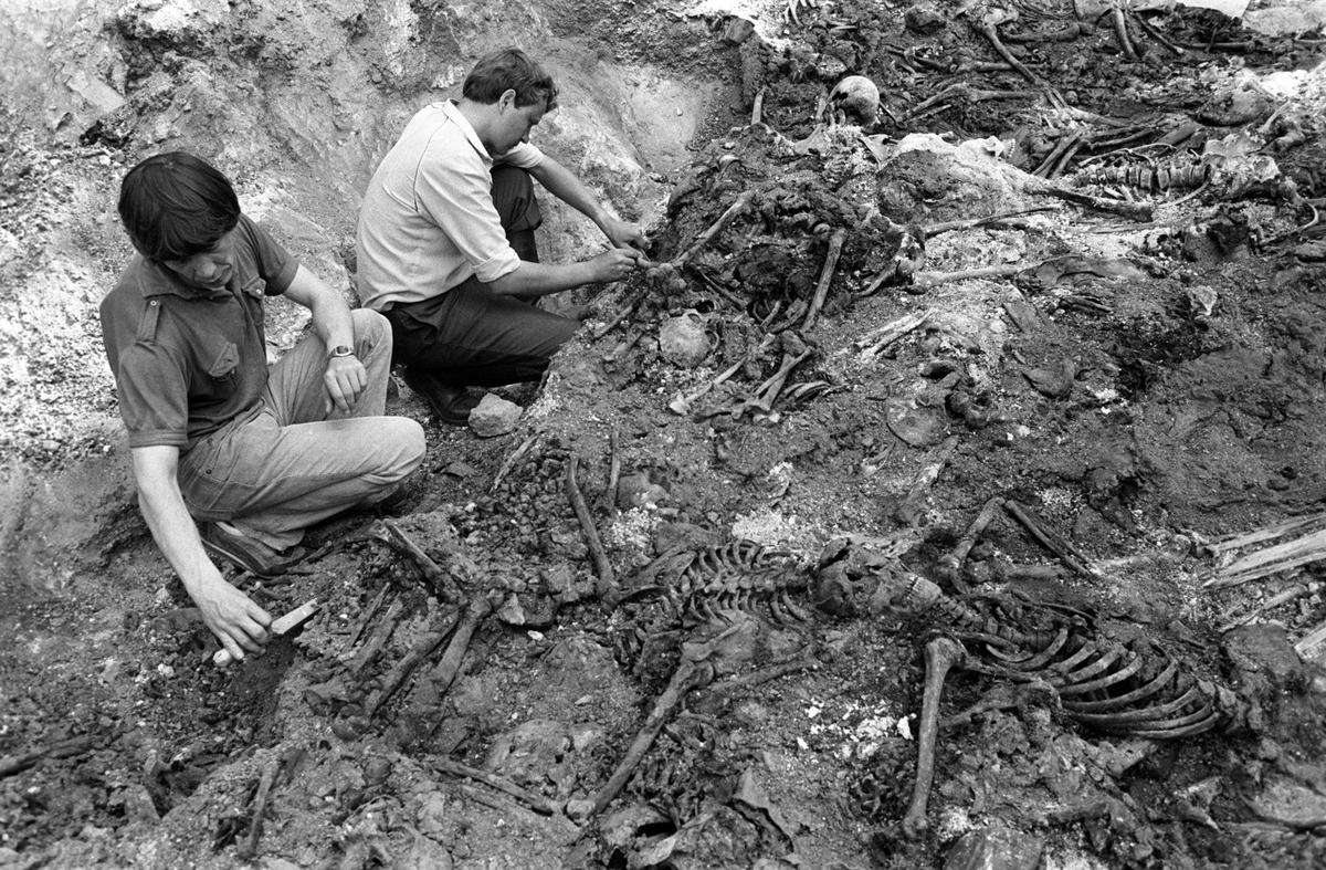 Эксгумация жертв сталинских репрессий. Фото: ITAR-TASS