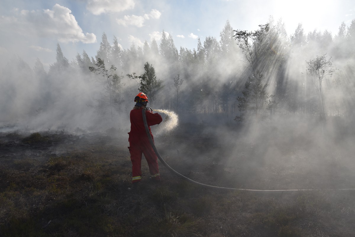 Лесные пожары в Карелии. Фото: Анастасия Цицинова / специально для «Новой»