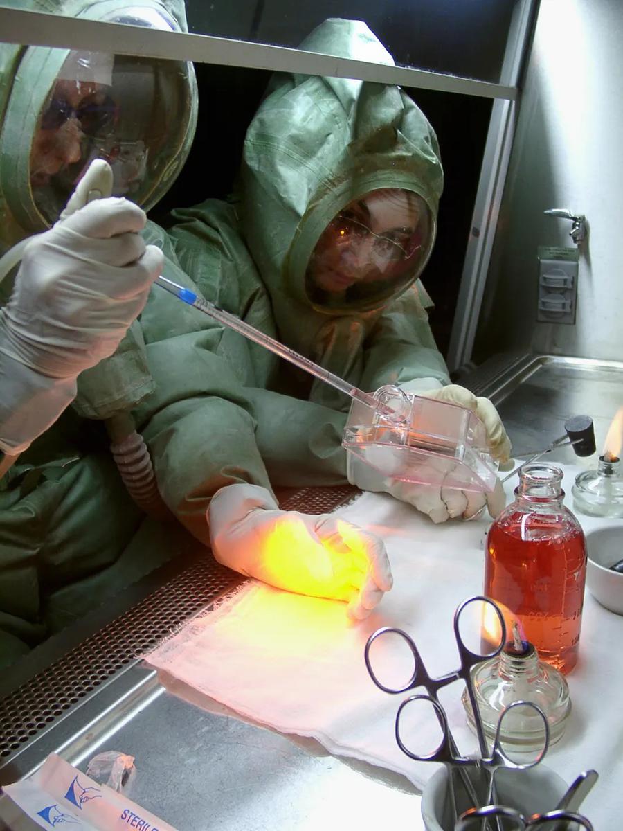 Эксперименты с опасными вирусами в центре "Вектор". Фото: Владимир Зинин / ИТАР-ТАСС