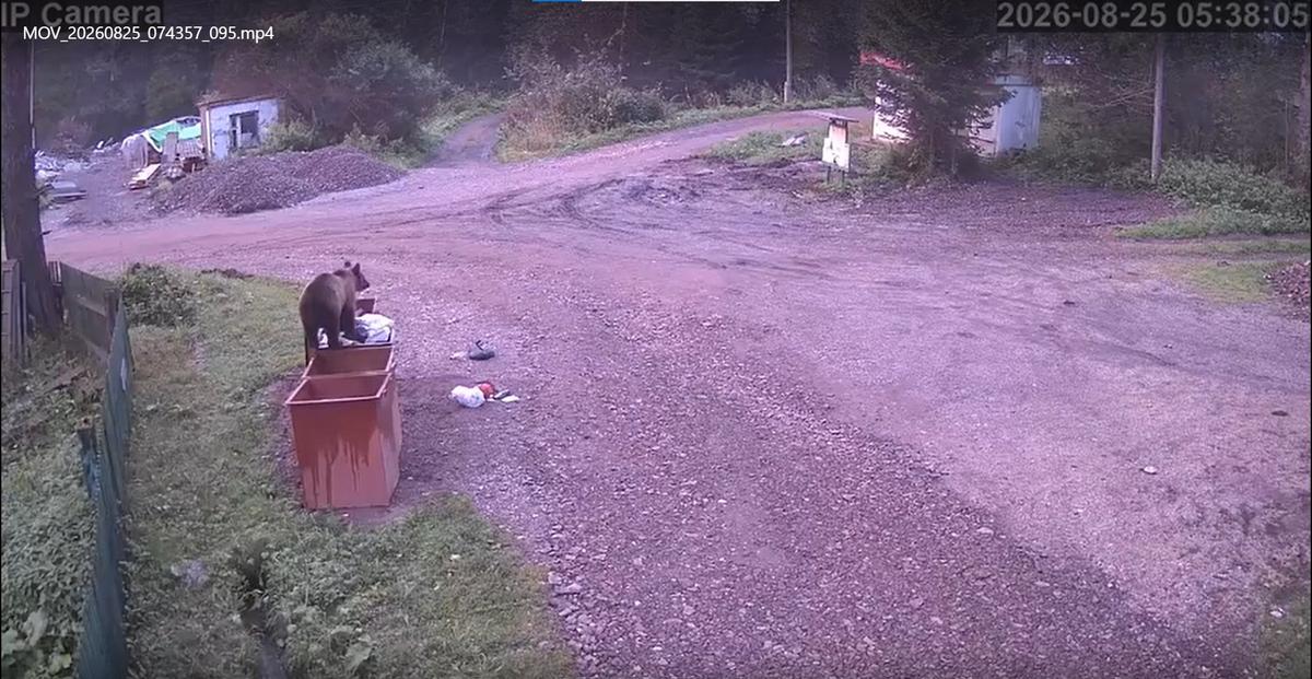 Кадр видеонаблюдения, СНТ Кедровый, 25 августа