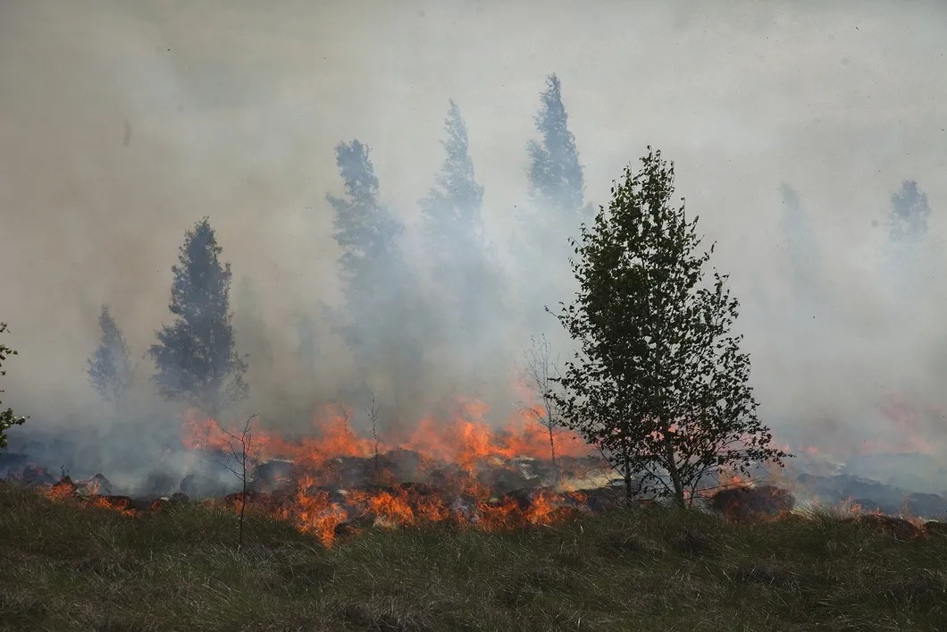 Пожары в Иркутской области. Июль 2019 года. Фото: «Гринпис Россия»