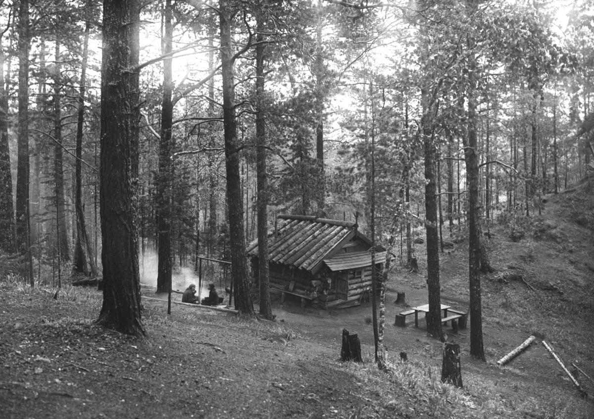 Избушка Музеянка. Фото: архив А. Бабия