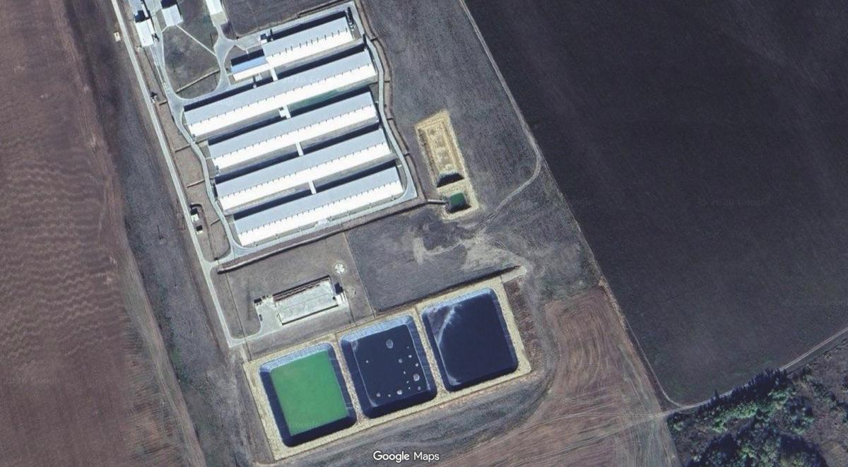 Свинокомплекс «Моловский» с лагунами для хранения навоза (снизу) в Кораблинском районе. Источник: Google Maps