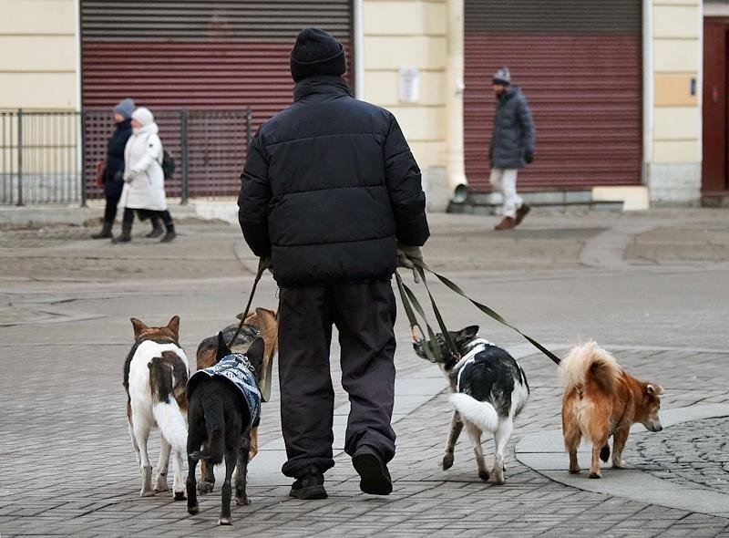 Фото: Майя Жинкина / Коммерсантъ