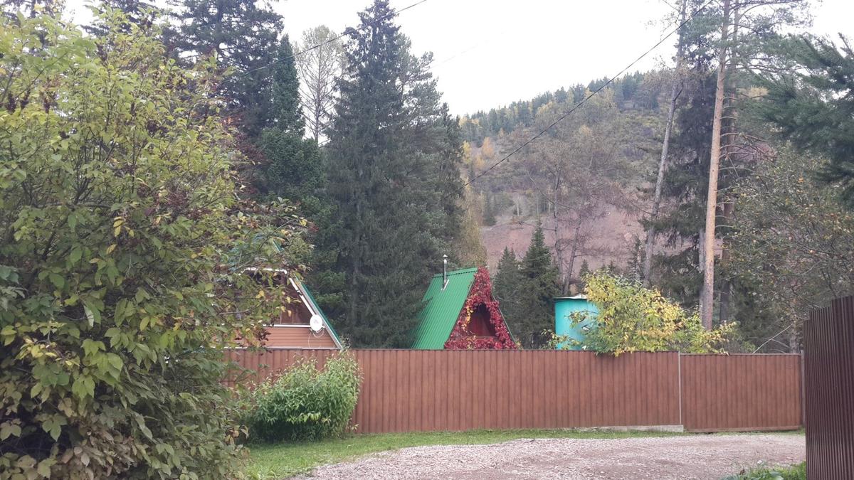 Дачи СНТ Кедровый. Фото: Алексей Тарасов / «Новая газета»