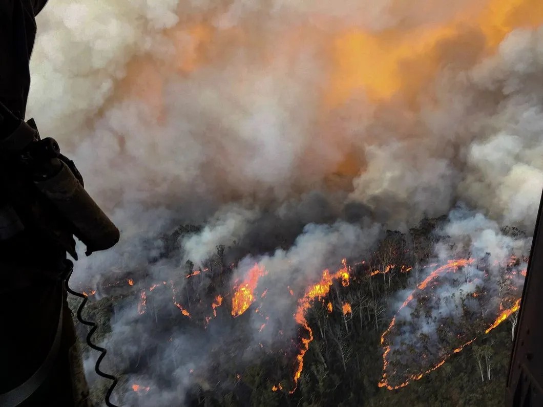 Пожары в Австралии начались осенью 2019-го и продолжаются до сих пор. Фото: Australia's Department of Defence