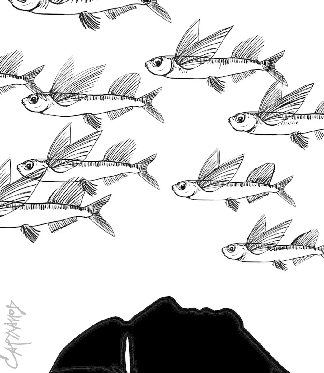 Стая рыб