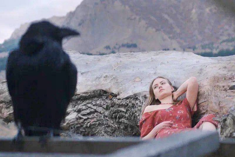 Кадр из фильма «Ветер»