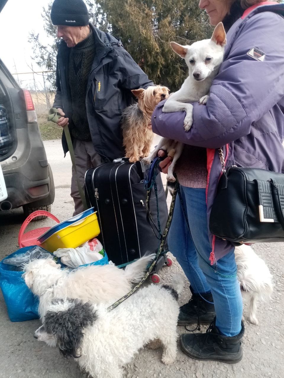Мама Дмитрия с собаками. Фото: личный архив автора