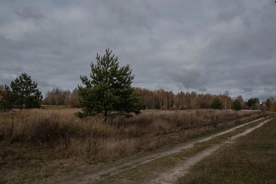 Дорога к приюту для птиц «Дно болота». Фото: Виктория Одиссонова / «Новая»