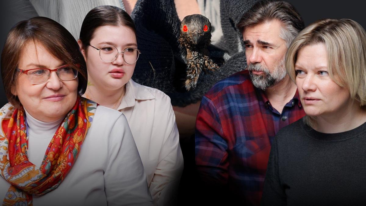После Анапы — Туапсе: как спасают животных и птиц от экологического бедствия