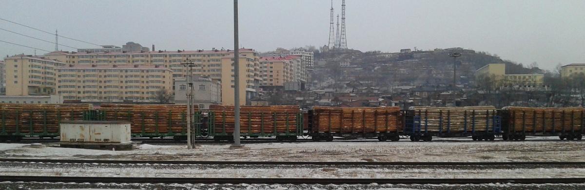 Состав с русским лесом в Суйфэньхэ. Фото из архива И. Смолина