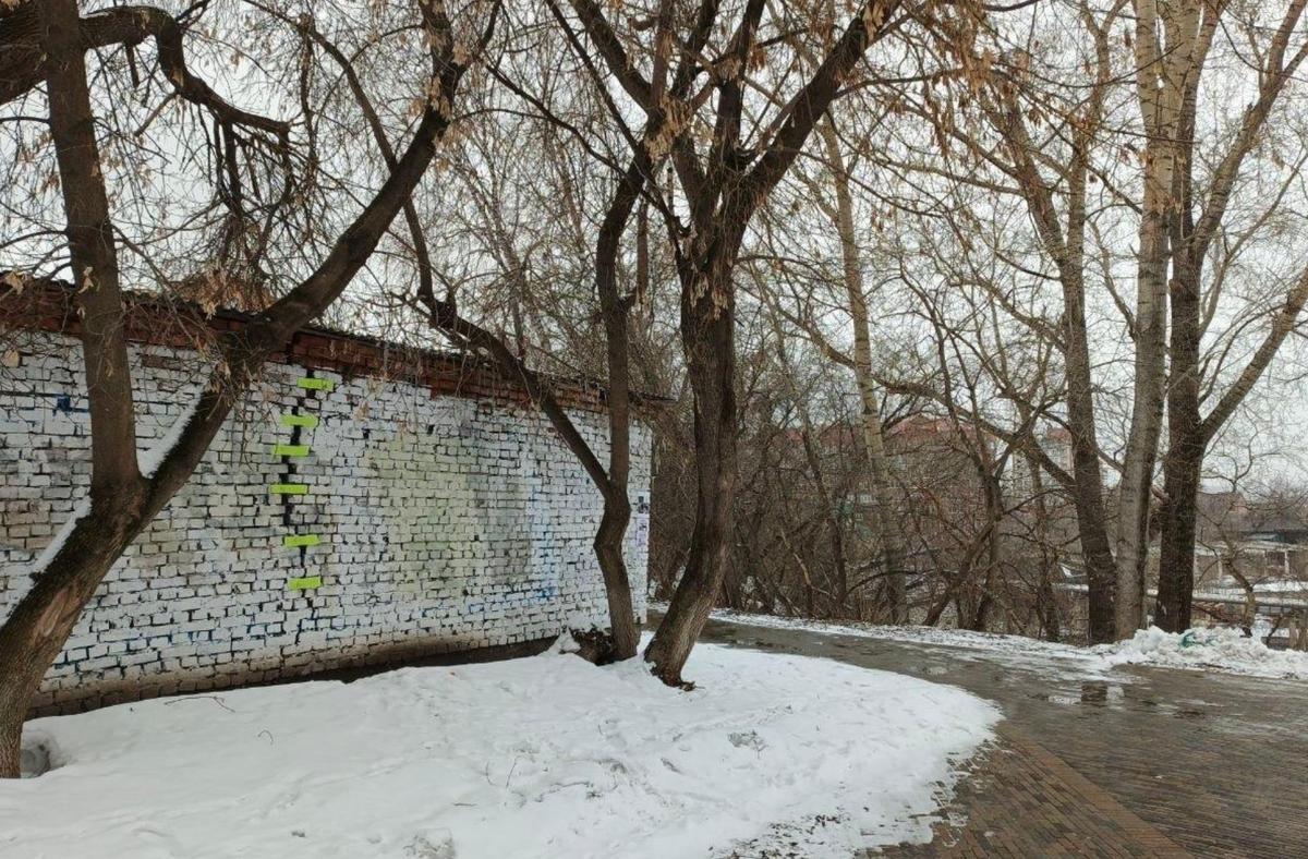 Фото из соцсетей