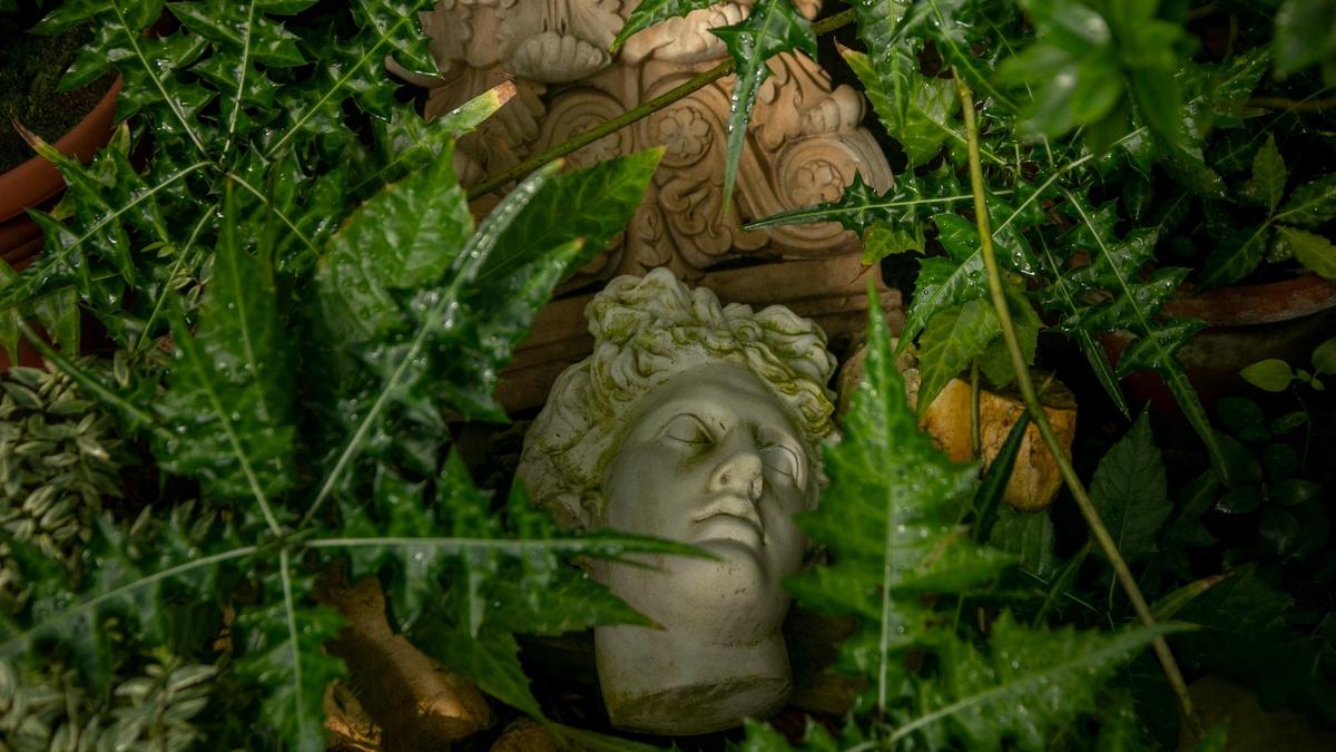 Где живет вчера?