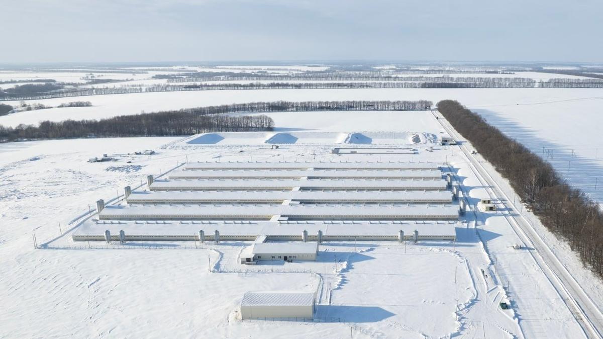 Свинокомплекс ГК «Агропромкомплектация». Фото: ГК «Агропромкомплектация»