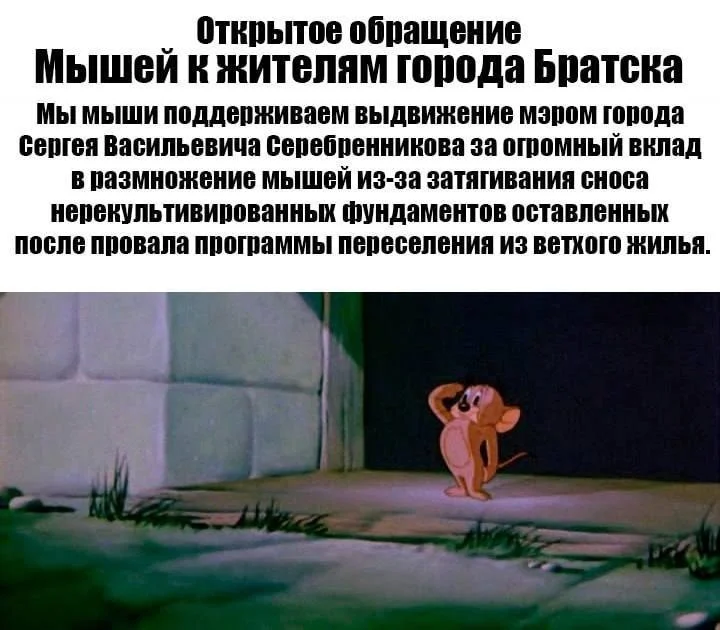Так выглядит мем, не понравившийся мэру Братска