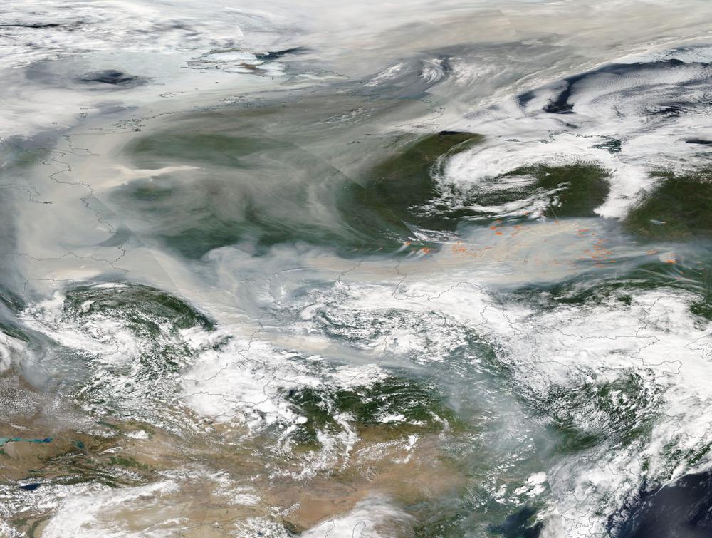 Космический спутник. Земля в дыму лесных пожаров. Фото: NASA