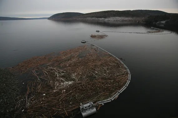 Фото: РИА Новости/ Александр Кряжев
