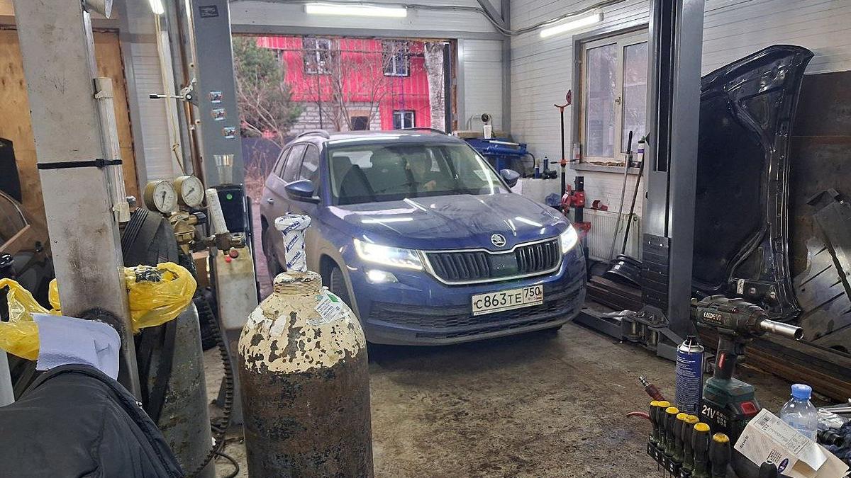 Паша и Дима не хотят учить китайский