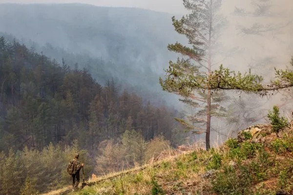 Фото: Петр Шеломовский