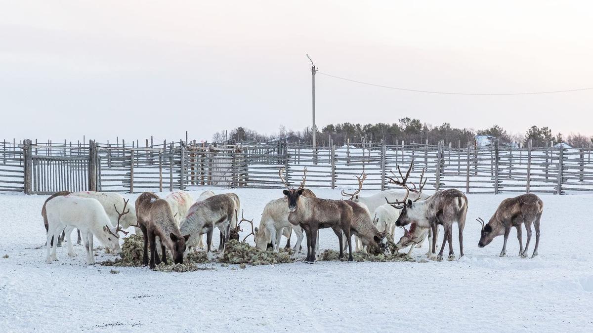 «Вы никуда не денетесь: литий нужен стране»
