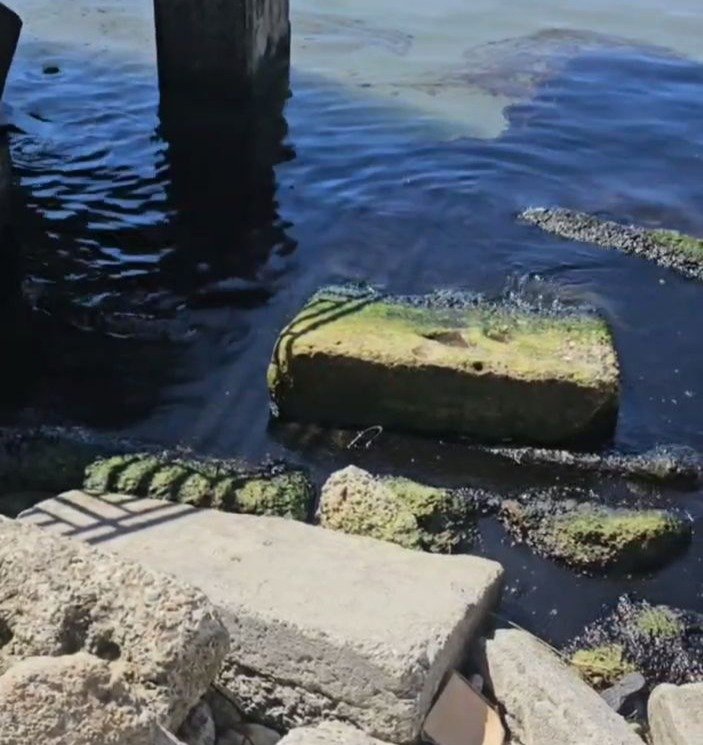 Скриншот с видео Евгения Витишко