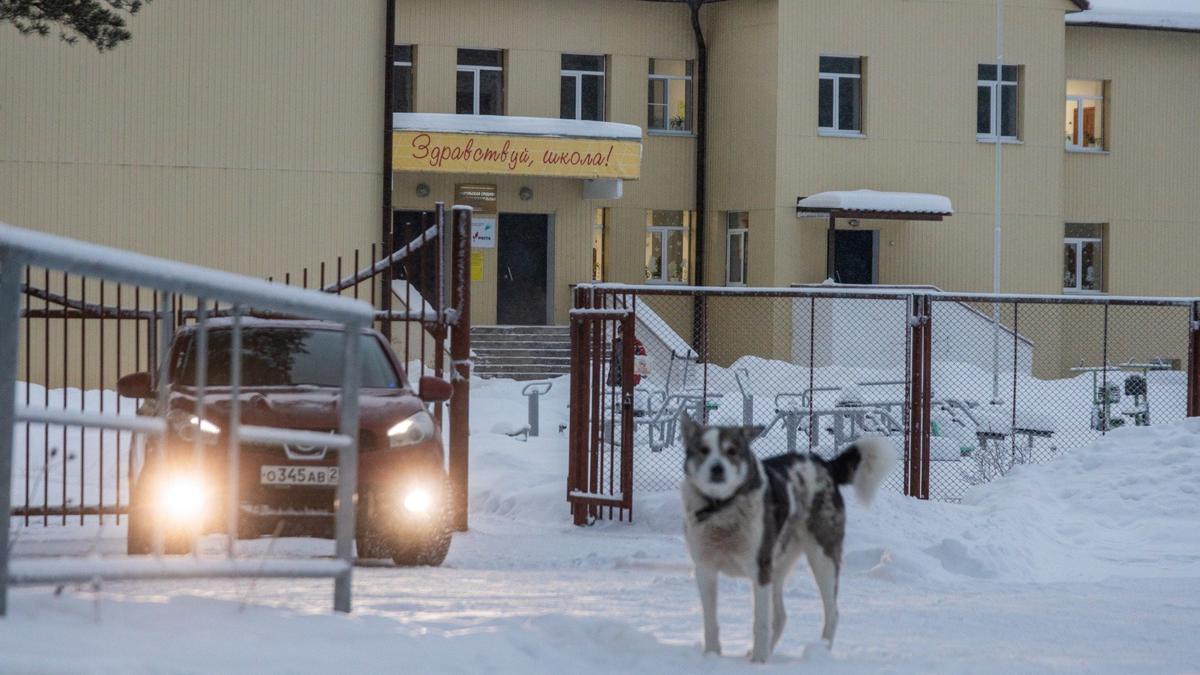 Школа выживания