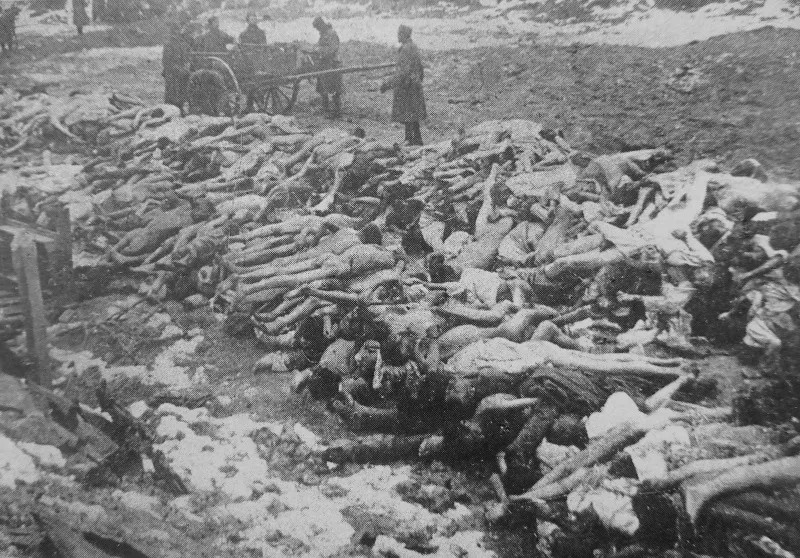 Тела умерших советских военнопленных, вывезенные из лагеря. 1941—1942 гг. waralbum.ru