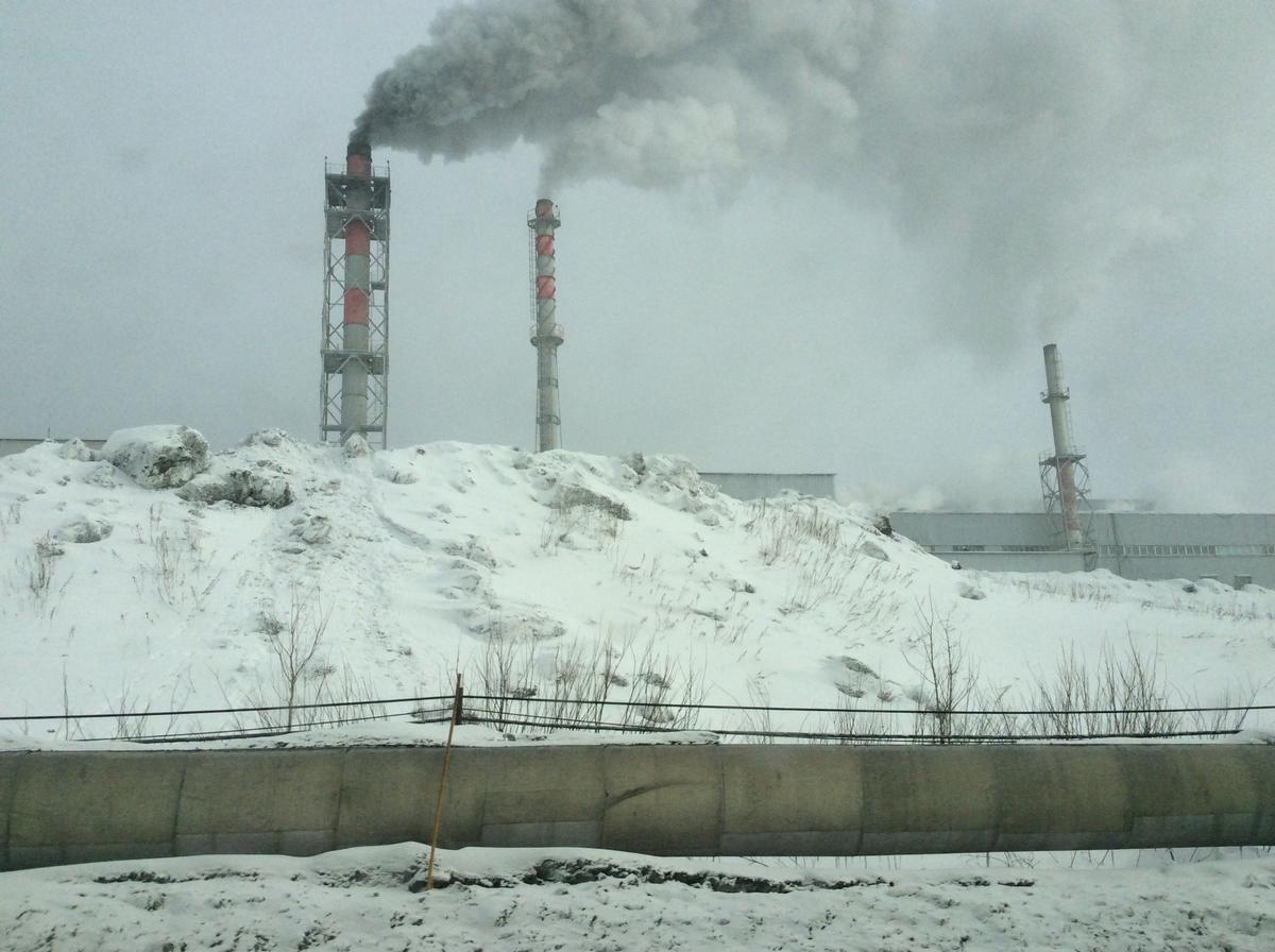 Олимпиада, март 2018 года. Фото: Алексей Тарасов / «Новая газета»