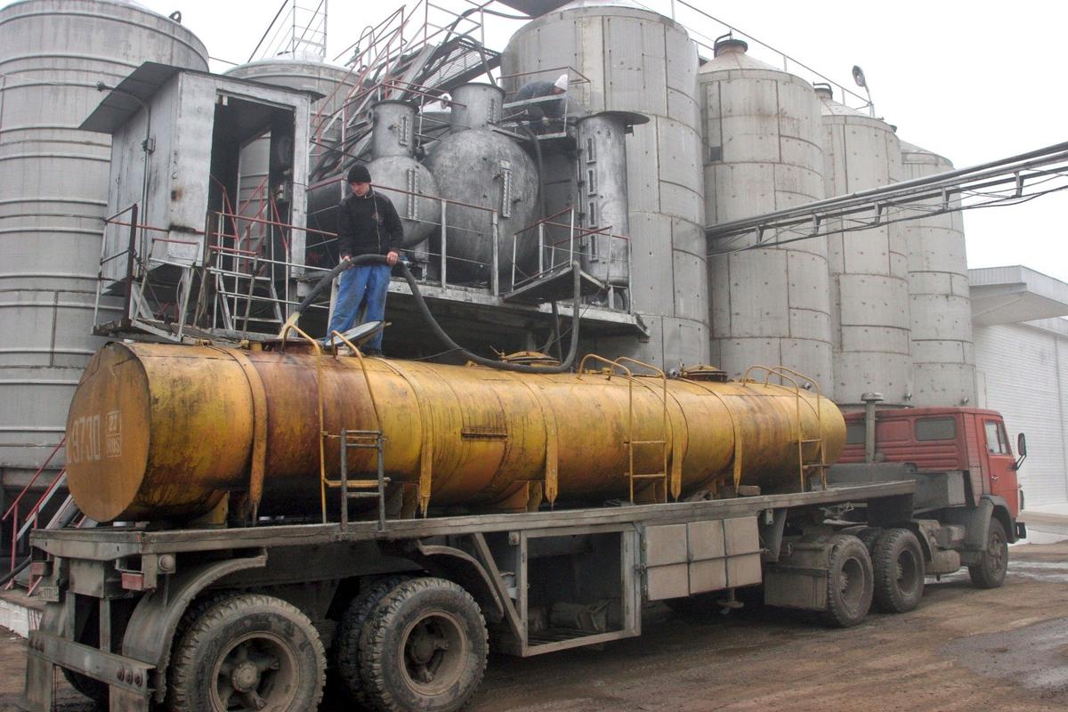 Винзавод «Кубань» входит в винный холдинг «Ариант». Фото: Валерий Матыцин / ИТАР-ТАСС