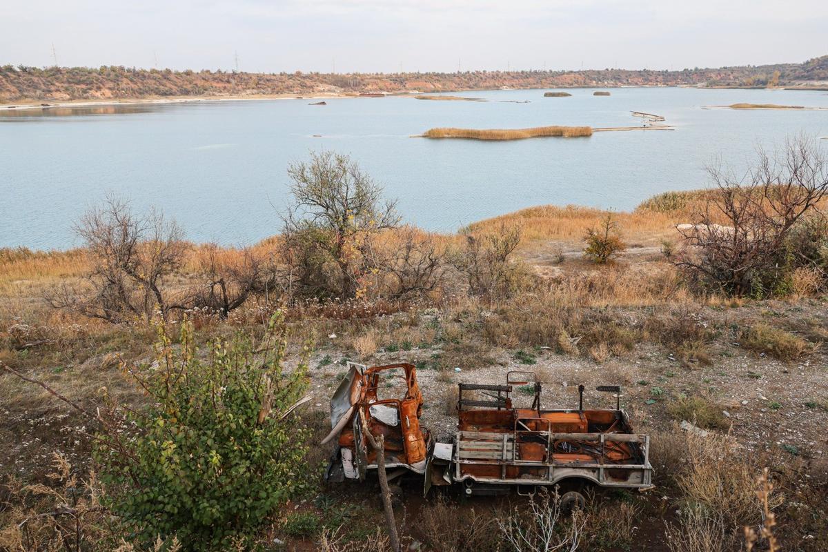 Фото: Дмитрий Ягодкин / ТАСС