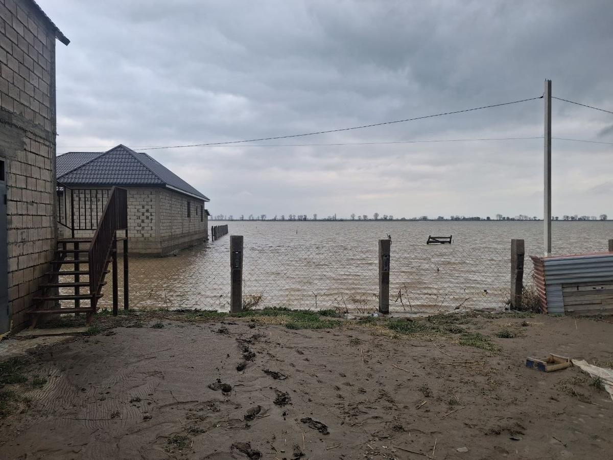 Фото: Игорь Стрельцов