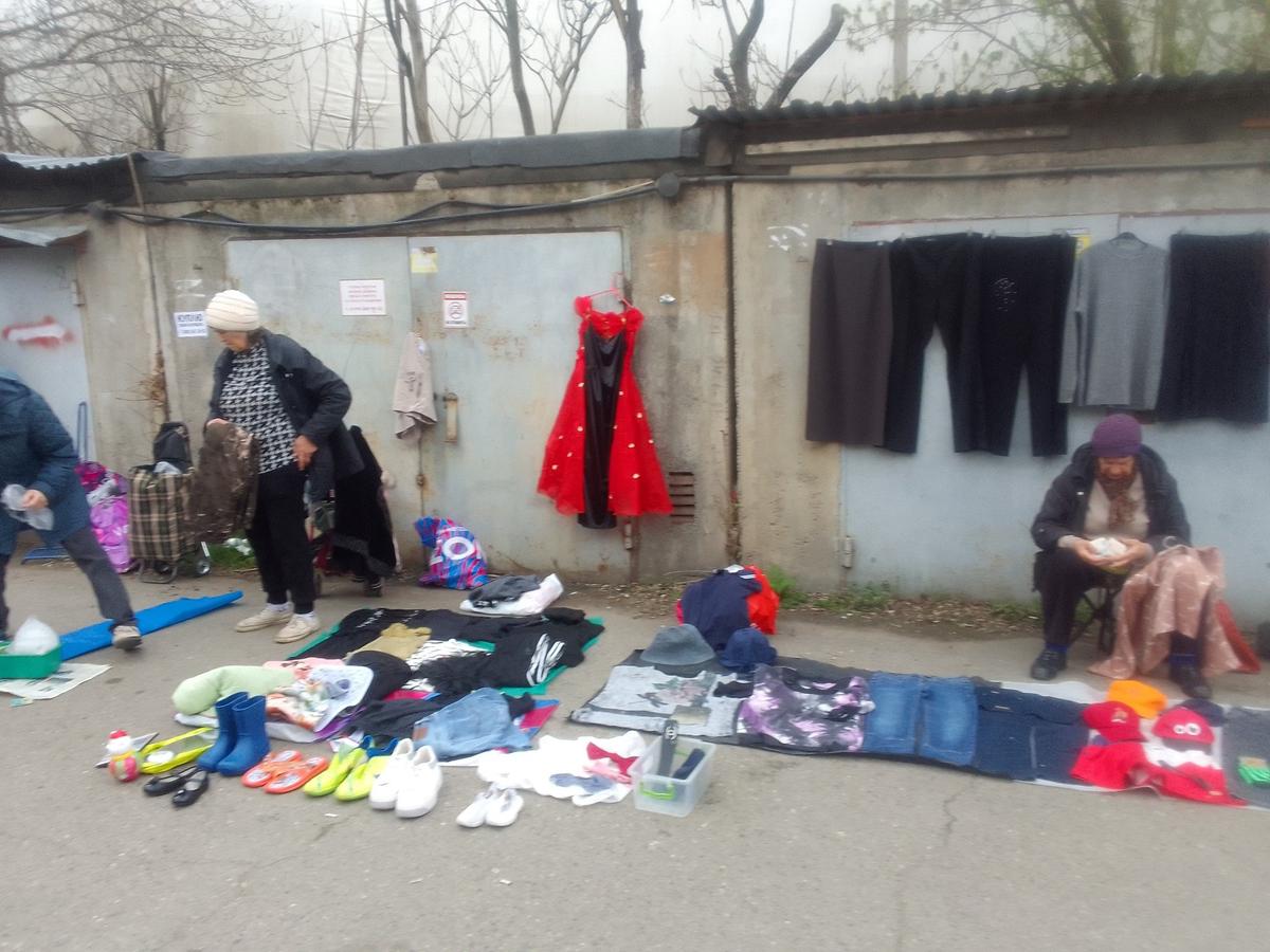 Фото: Александр Романов