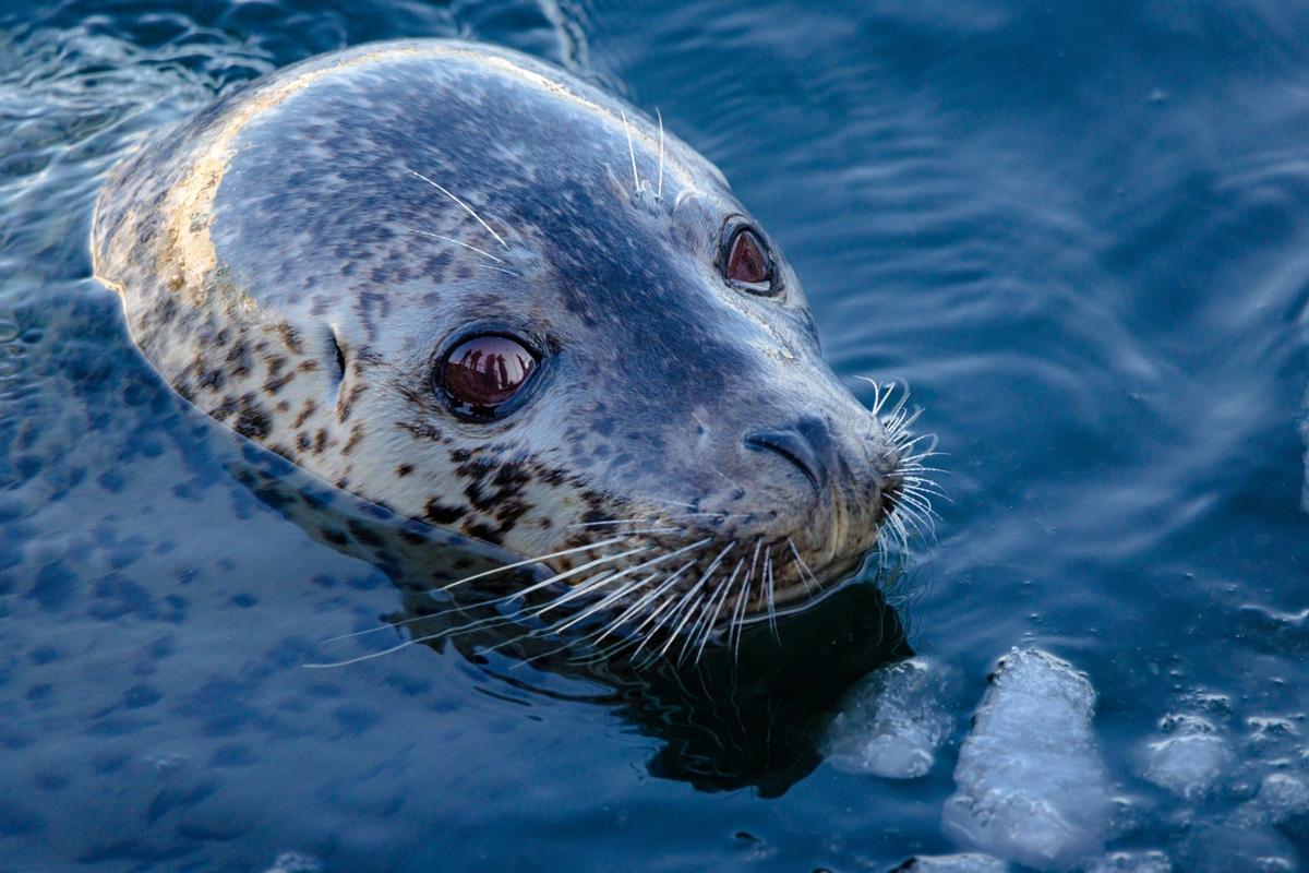 Фото: Юрий Смитюк / ТАСС