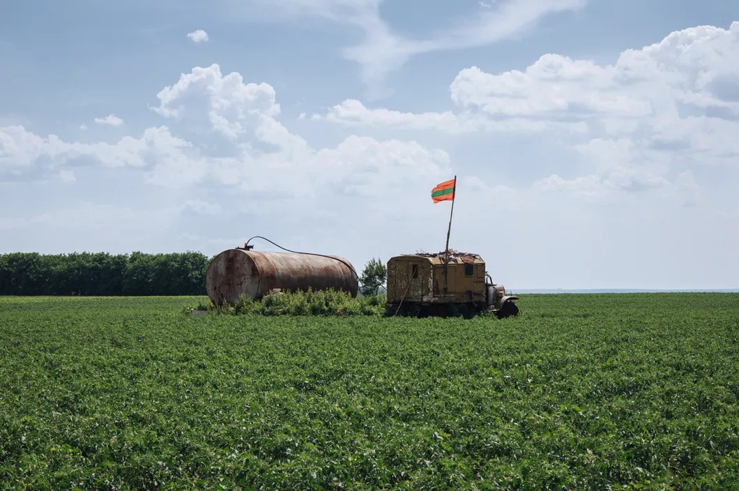 Колхозные поля в окрестностях села Хрустовая. Фото: Антон Поляков