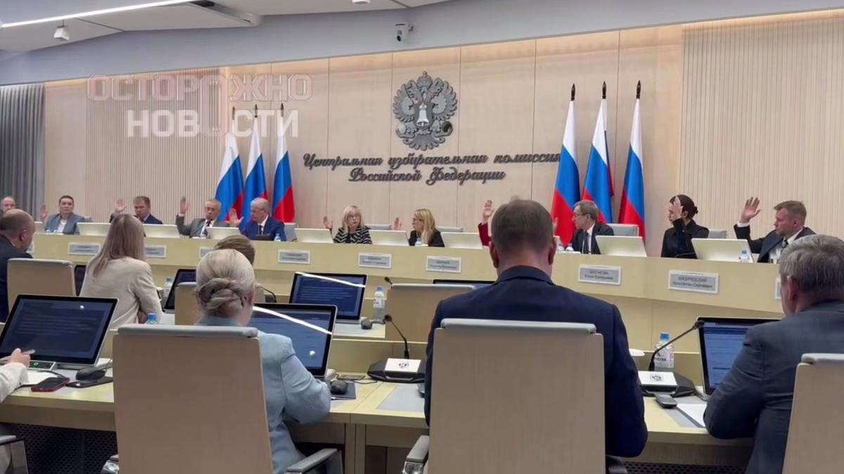 ЦИК единогласно голосует за допуск «Яблока» до выборов в Госдуму. Скриншот видео «Осторожно, новости»