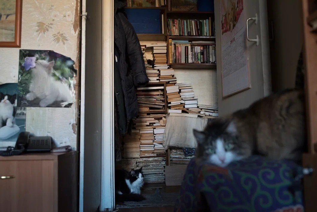 Кошки — общая любовь четы Домбровских. Фото: Виктория Одиссонова/«Новая газета»