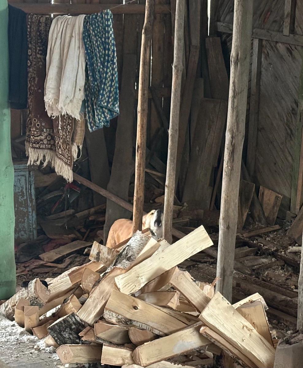 Фото: Виктория Артемьева / «Новая газета»