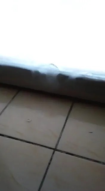 Лед на окнах. Скриншот из видео