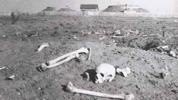 В окопах Волгограда