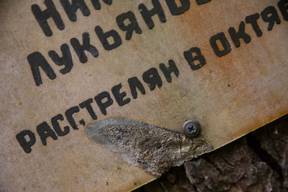 Левашовский мемориал. Фото: Алексей Душутин / «Новая газета»